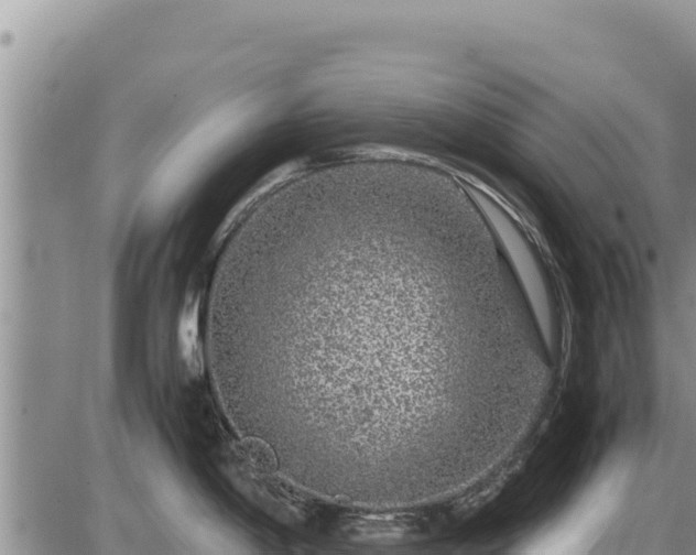 X0000087421198200704271729