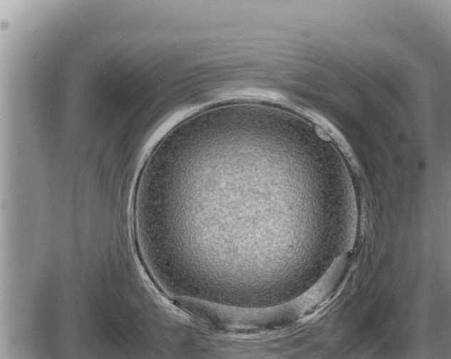 X0000087421199200704271729