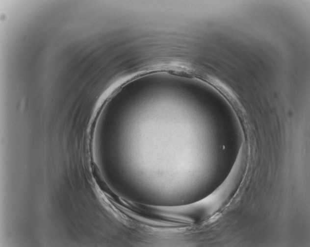 X0000087421200200704271729