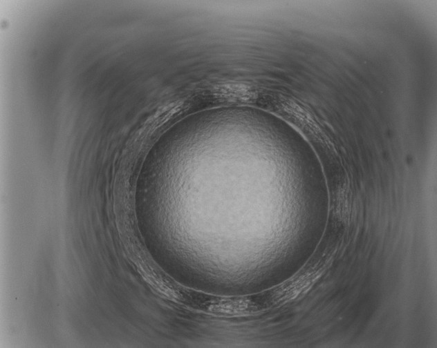 X0000087421201200704271728