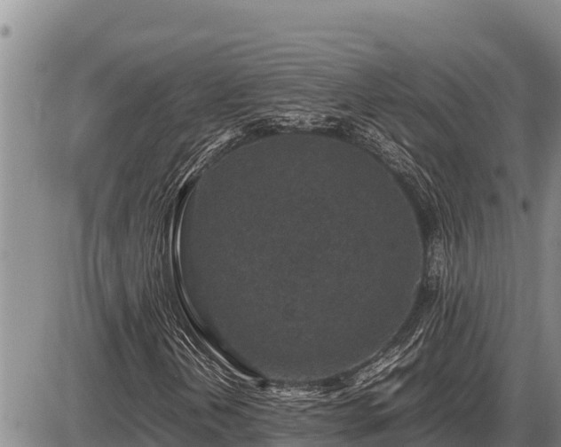 X0000087421202200704271728