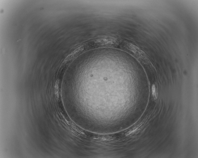 X0000087421203200704271728