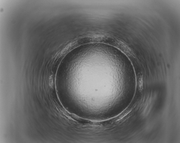 X0000087421204200704271728