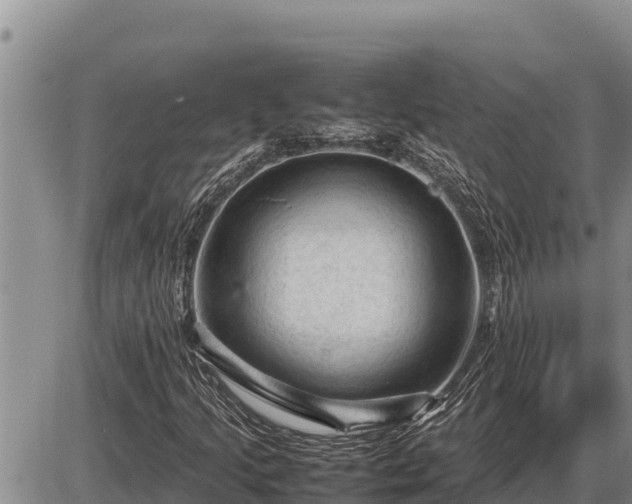 X0000087421205200704271728