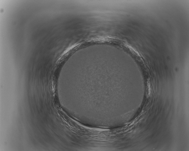 X0000087421206200704271728