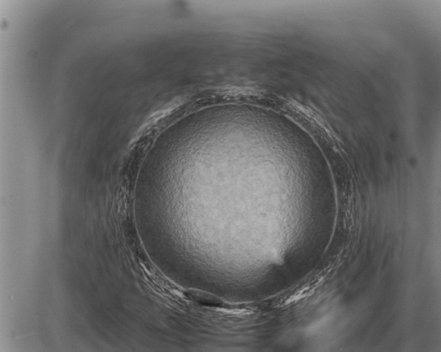 X0000087421207200704271728