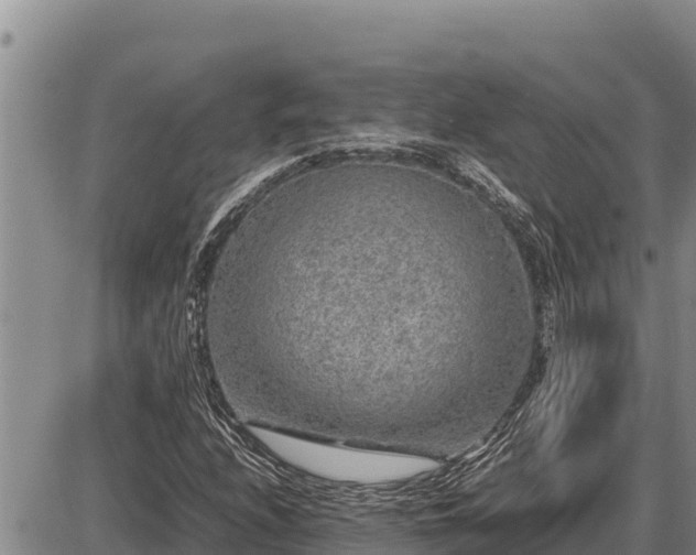 X0000087421208200704271728