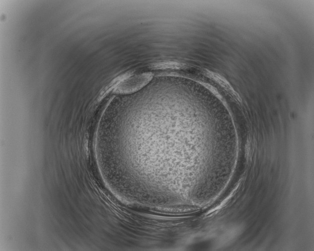 X0000087421209200704271729