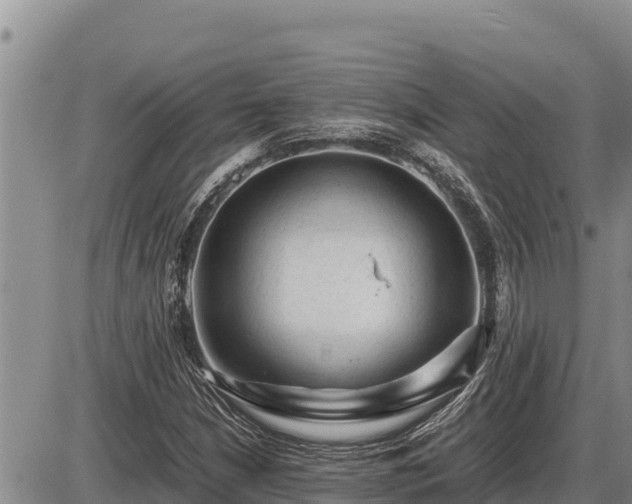 X0000087421210200704271729