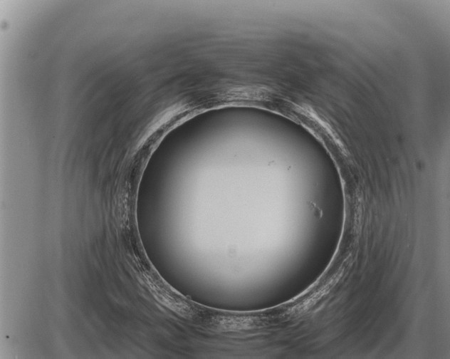 X0000087421211200704271729