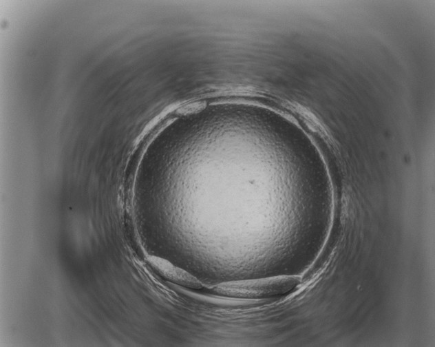 X0000087421212200704271729