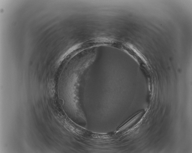 X0000087421213200704271729