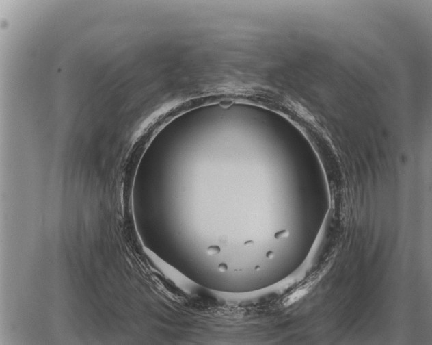 X0000087421214200704271729