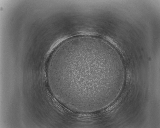 X0000087421215200704271729