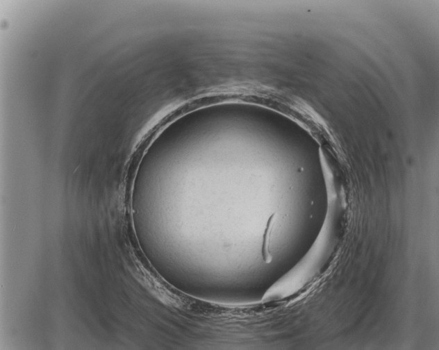 X0000087421216200704271729