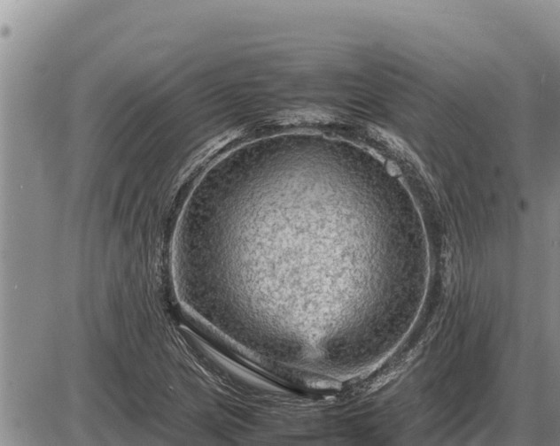 X0000087421217200704271729