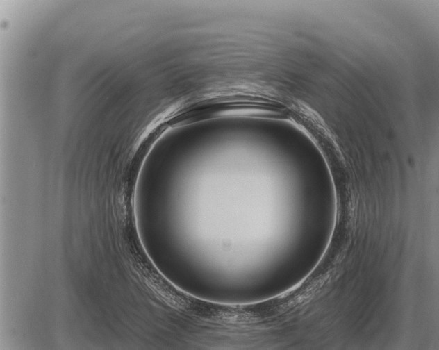 X0000087421218200704271729