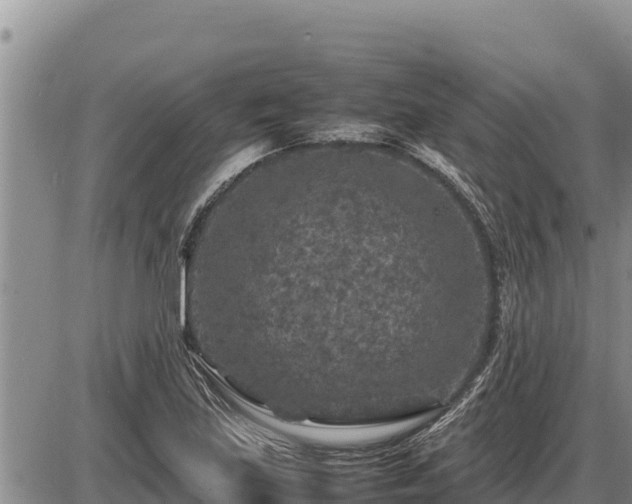 X0000087421219200704271729