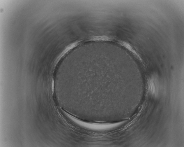 X0000087421221200704271729