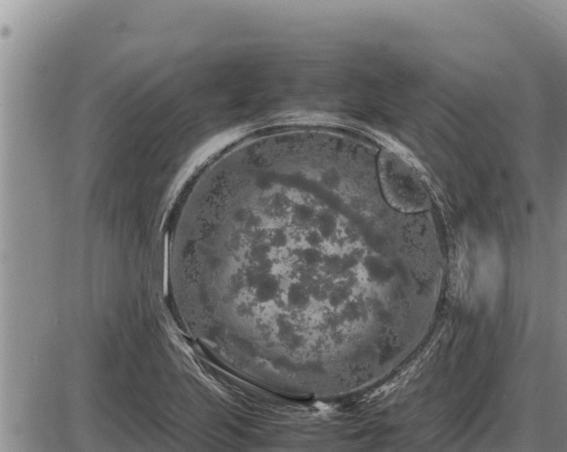 X0000087421223200704271729