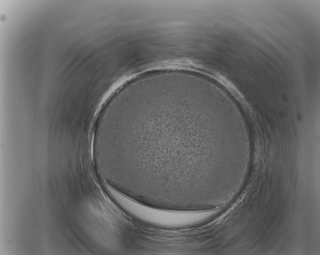 X0000087421224200704271729