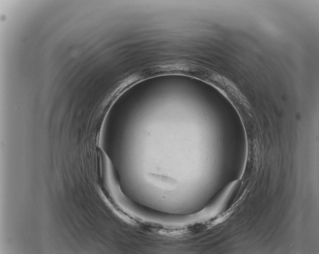 X0000087421225200704271729