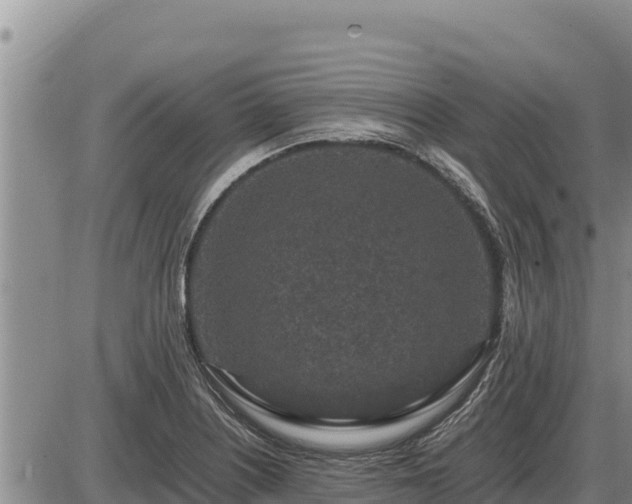 X0000087421226200704271729