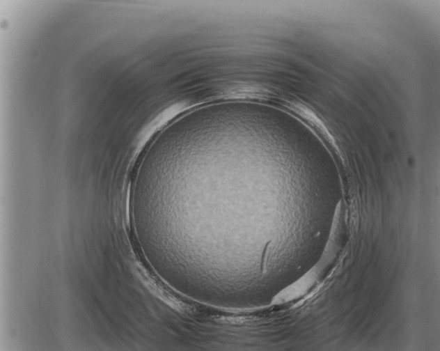 X0000087421227200704271729