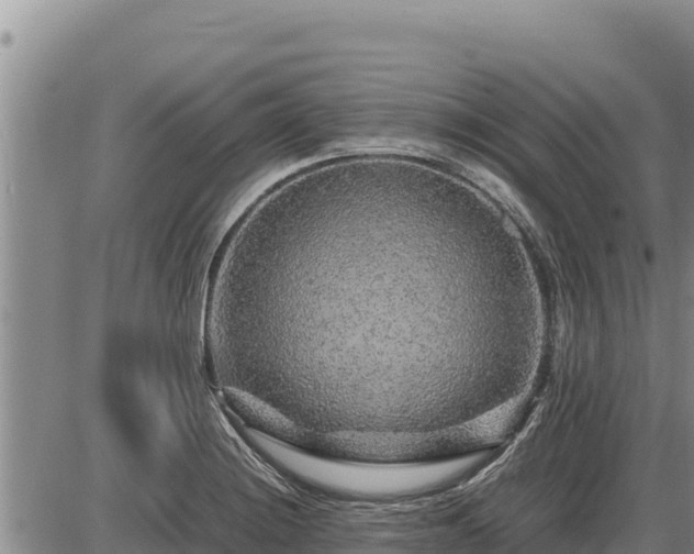 X0000087421228200704271729