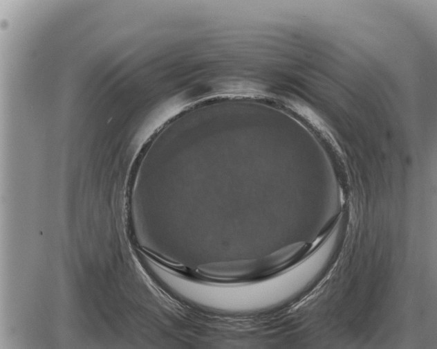 X0000087421229200704271729