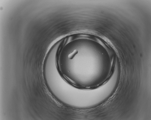 X0000087421230200704271729