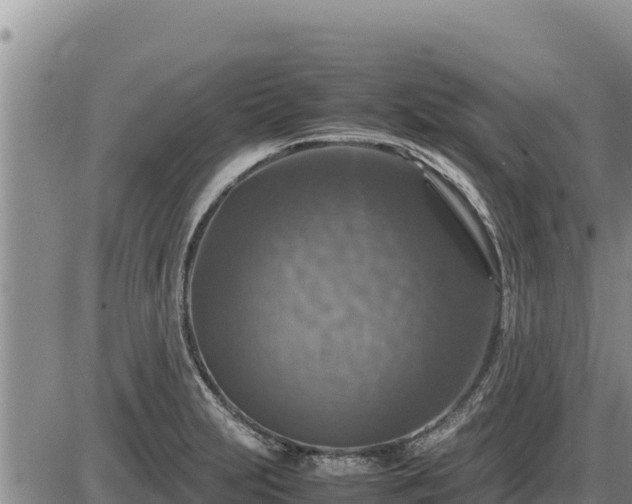 X0000087421231200704271729