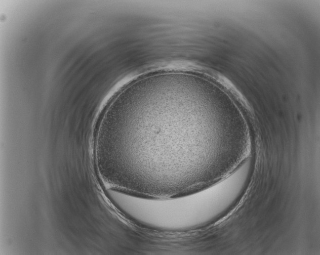 X0000087421232200704271729