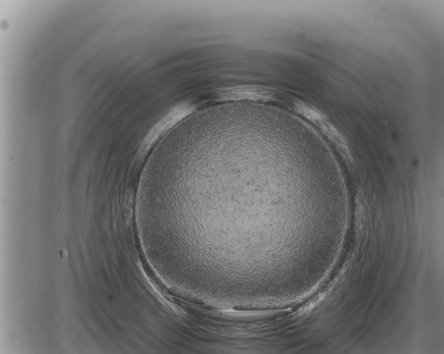 X0000087421233200704271729