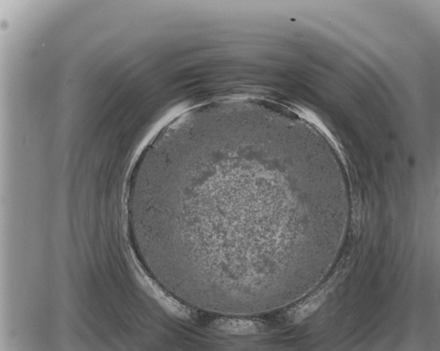 X0000087421235200704271729