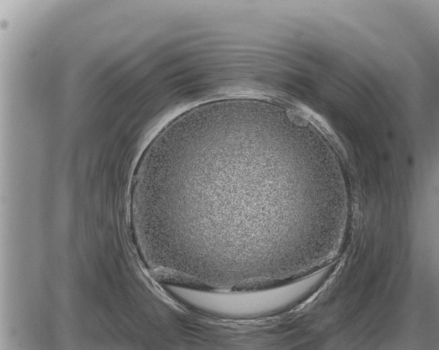 X0000087421236200704271729