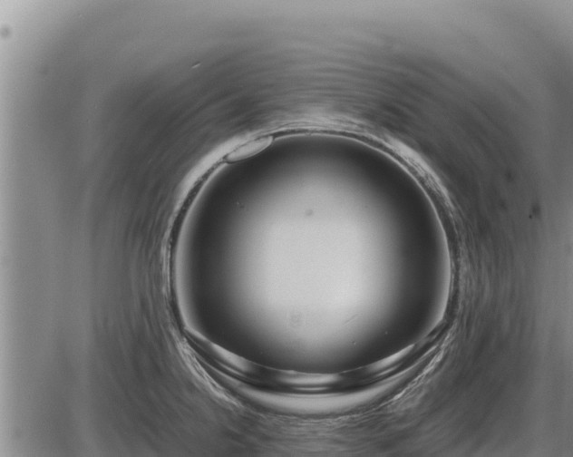 X0000087421238200704271729