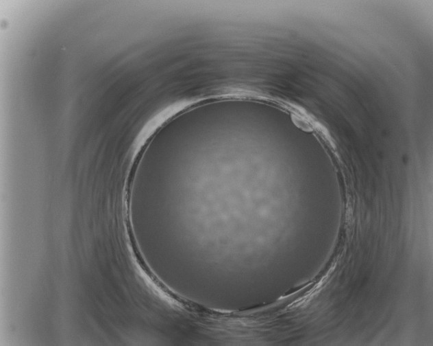 X0000087421239200704271729