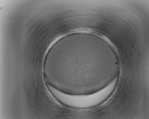 X0000087421240200704271729