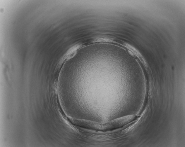 X0000087421241200704271729