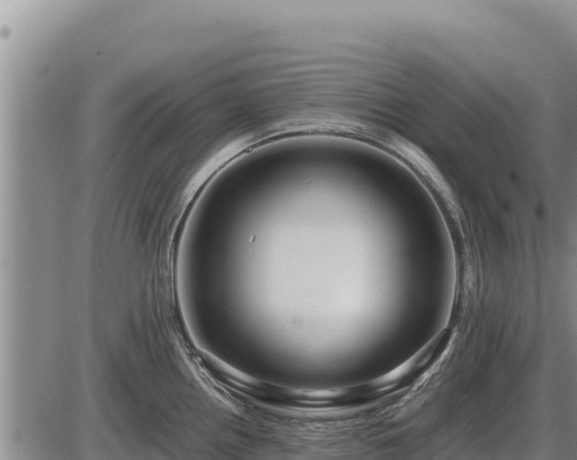 X0000087421242200704271729