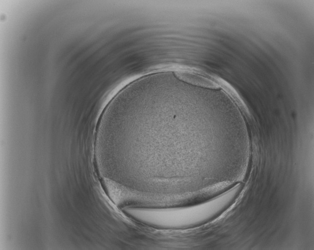 X0000087421244200704271729