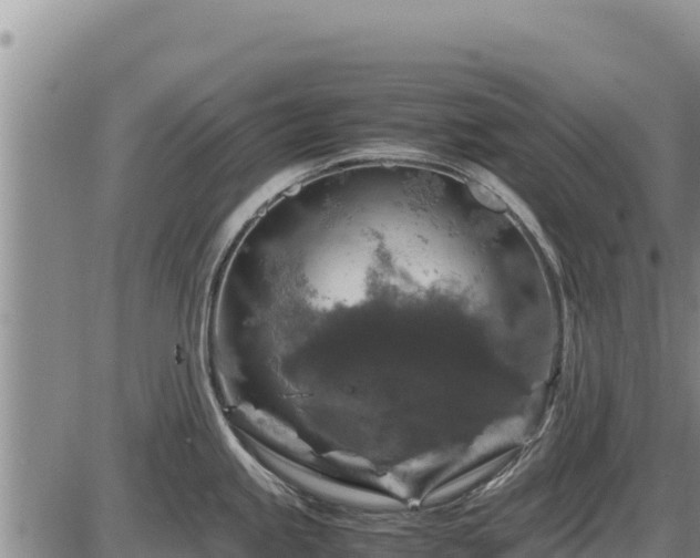 X0000087421245200704271729