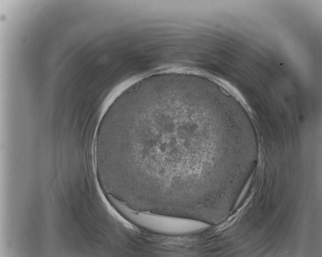 X0000087421247200704271729