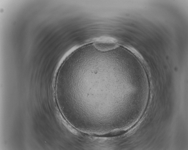 X0000087421248200704271729