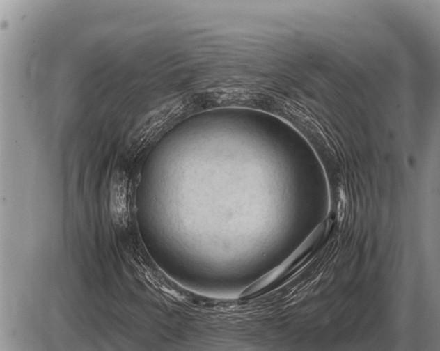 X0000087421250200704271728