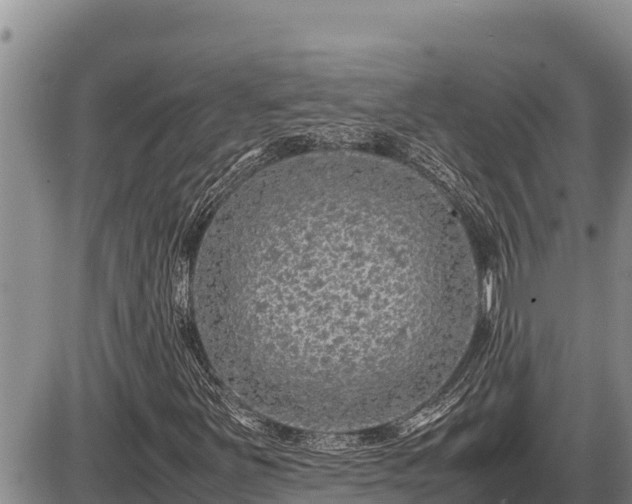 X0000087421251200704271728