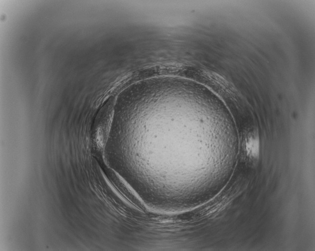 X0000087421252200704271728