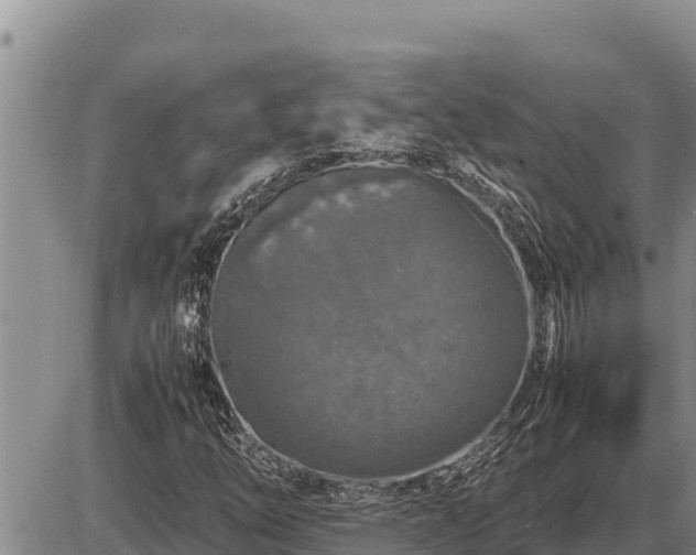 X0000087421254200704271728