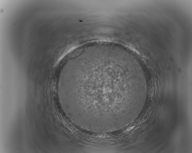 X0000087421255200704271728